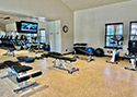 My Gallery: Image